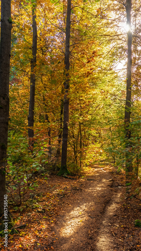 Autumn Landscape with Hiking Trail at Sunset