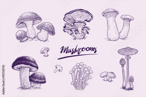 Mushrooms-9-element.eps. 9 elegant vector mushroom sketch elements suitable for anything, festival cards and so on