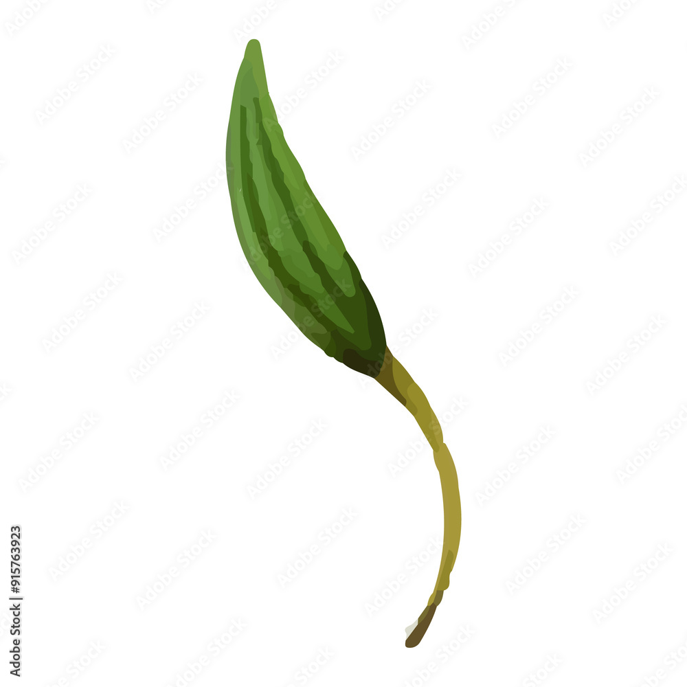 Watercolor illustration of a single green leaf with a brown stem. Watercolor illustration of a single green leaf with a brown stem.