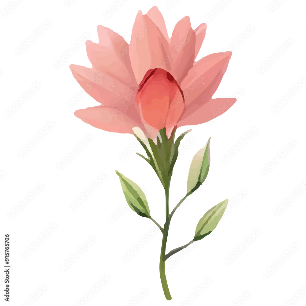 Watercolor illustration of a single pink flower with green leaves. Watercolor illustration of a single pink flower with green leaves.