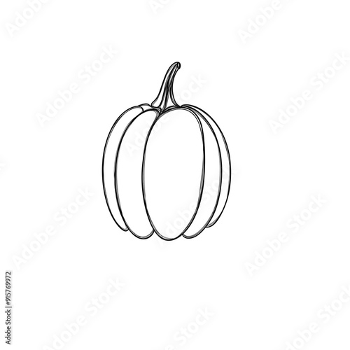 Pumpkin drawn freehand Line Art. Halloween pumpkin template