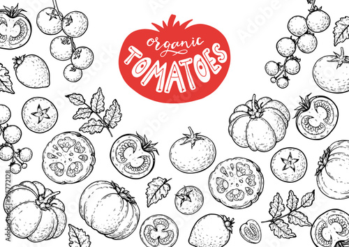 Tomatoes frame. Hand drawn illustration. Tomato vegetable sketch. Organic tomato design template. Vector illustration. Package design elements.
