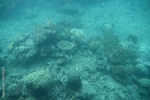 Fototapeta Naklejka Na Ścianę i Meble -  Underwater photos of the dead corals at the Great Barrier Reef in Australia 