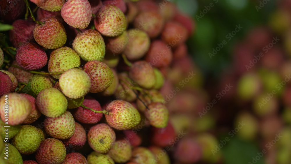 Freshly picked ripe lychees, ready for sale at the market. Vibrant colors and juicy sweetness of this tropical delight, straight from the orchard to your table. Lychee, Litchi, Lichee, fruit Freshly picked ripe lychees, ready for sale at the market. Vibrant colors and juicy sweetness of this tropical delight, straight from the orchard to your table. Lychee, Litchi, Lichee, fruit
