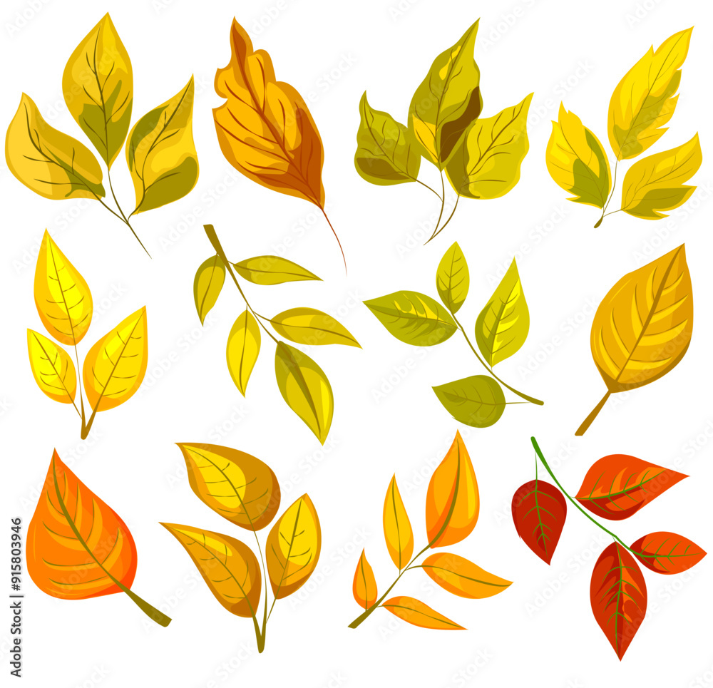 Fototapeta premium Colorful autumn leaves in various shapes. Illustrated style on a white background. Concept of fall season and natures beauty. Vector illustration