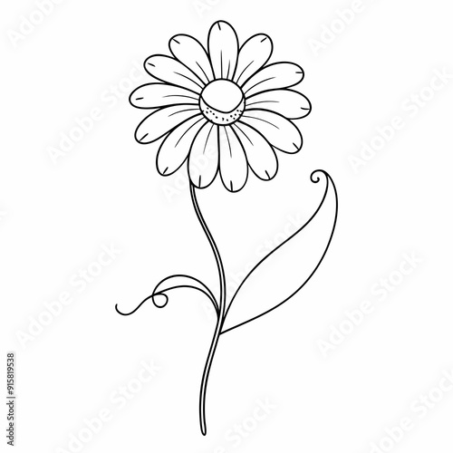 continuous single line drawing of daisy flower, line art vector illustration
