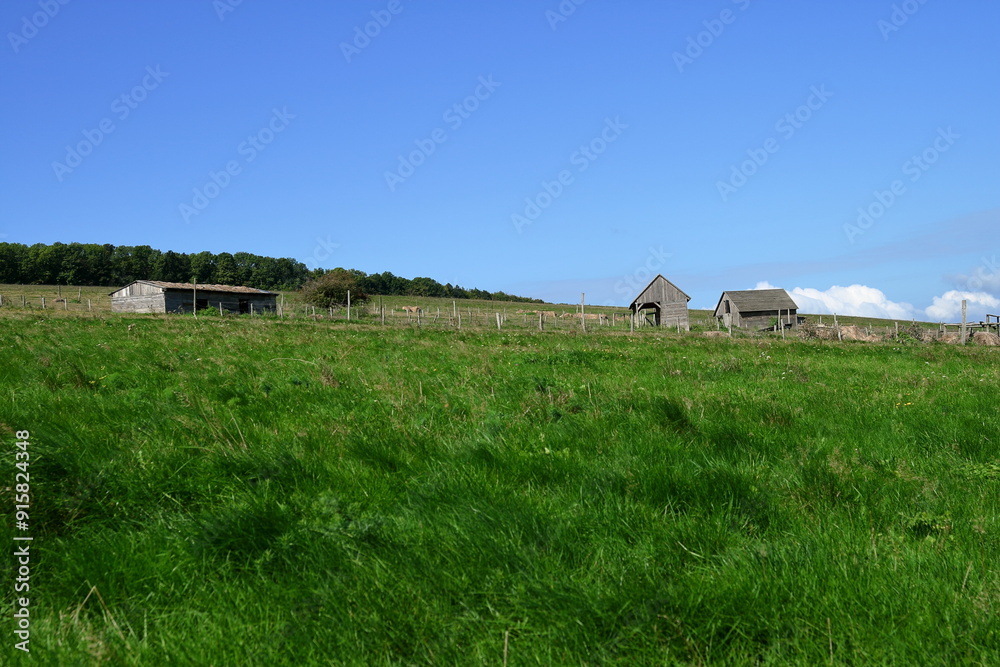 Farm. Farm.
