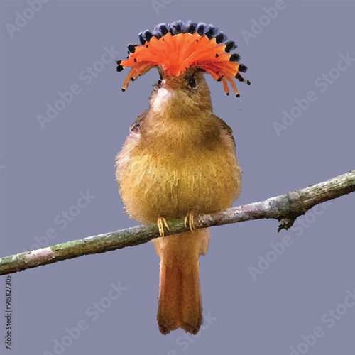 colorful bird sitting on a branch of a tree photo