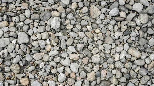 A close-up view of various smooth stones arranged naturally on the ground in a gravel area under natural light