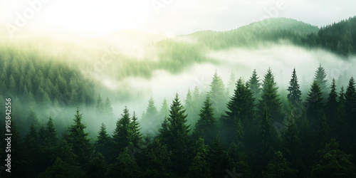 A serene forest scene with mist rolling through the trees at dawn