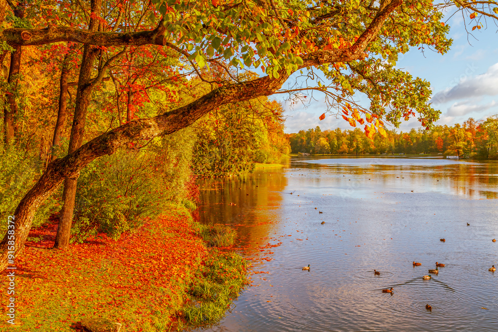 Colorful autumn park on a sunny day. Beautiful autumn landscape with yellow and red trees. Colorful autumn park on a sunny day. Beautiful autumn landscape with yellow and red trees.