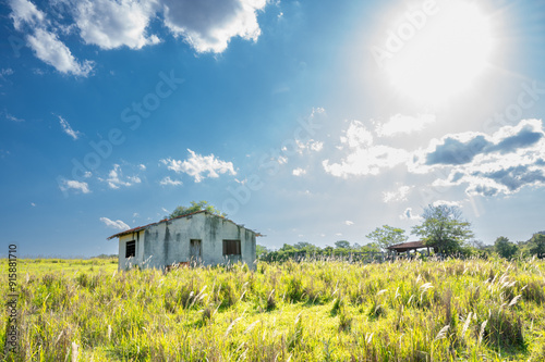 Descubra a serenidade da zona rural de Araçoiaba da Serra, SP: paisagens bucólicas, tradição agrícola e cultura local em um refúgio de tranquilidade próximo à natureza, perfeito para uma imersão no in photo