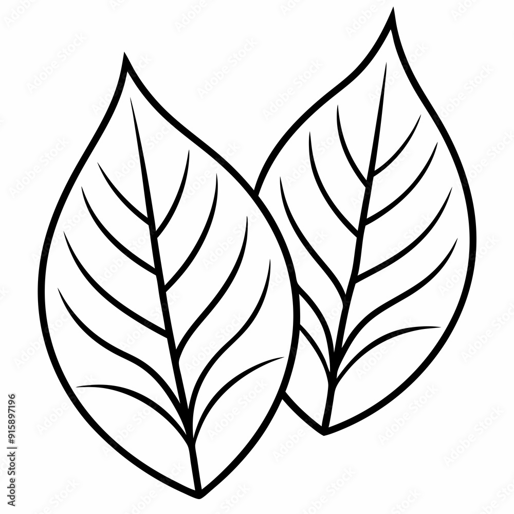 Two leave line art Silhouette Vector illustration Two leave line art Silhouette Vector illustration