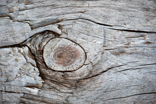 Wooden texture old boards. vertical, vintage boards. Stylish background for presentations and text. Abstract texture of old boards. the wood is destroyed. wood texture. knots, imperfect surface