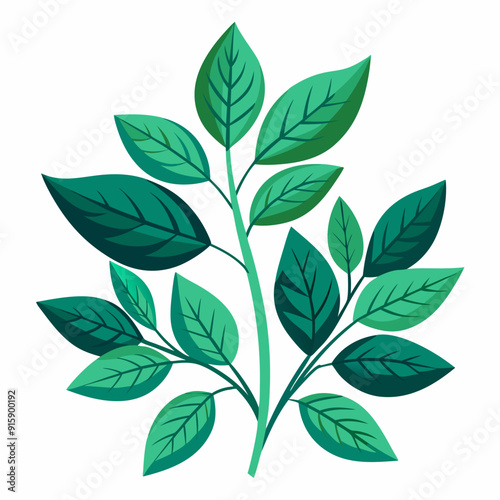 foliage  color  Vector illustration photo