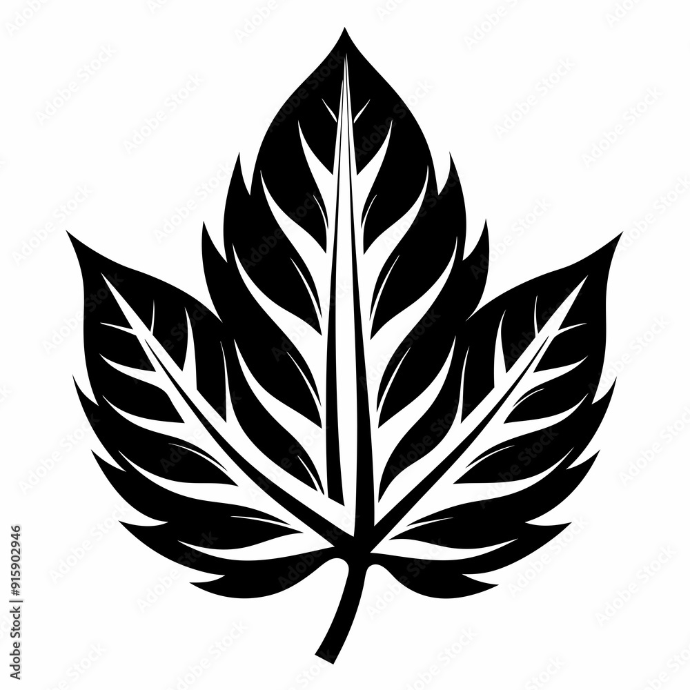 Best leave Silhouette Vector illustration Best leave Silhouette Vector illustration