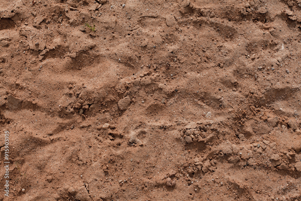 Background of beige, brown beach sand with natural pattern background. top view, flat lay Background of beige, brown beach sand with natural pattern background. top view, flat lay