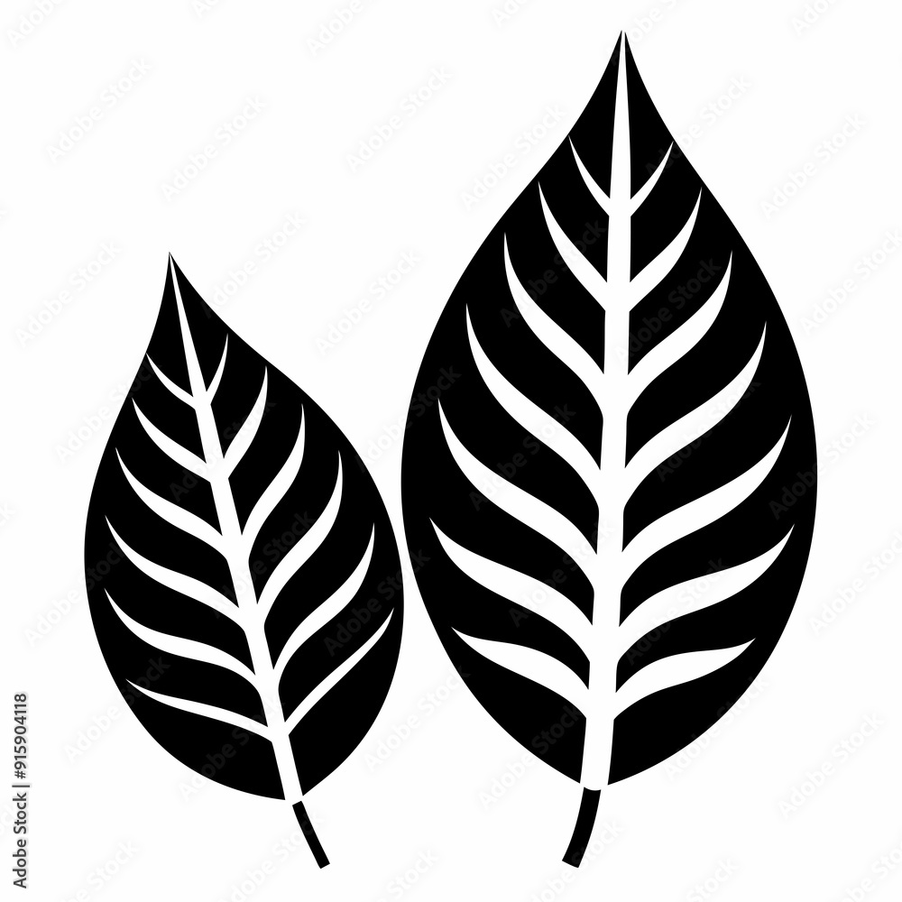 two leave Silhouette Vector illustration
two leave Silhouette Vector illustration