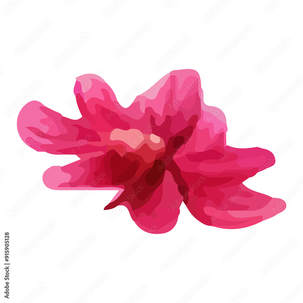 Fototapeta premium A single pink flower isolated on white background.