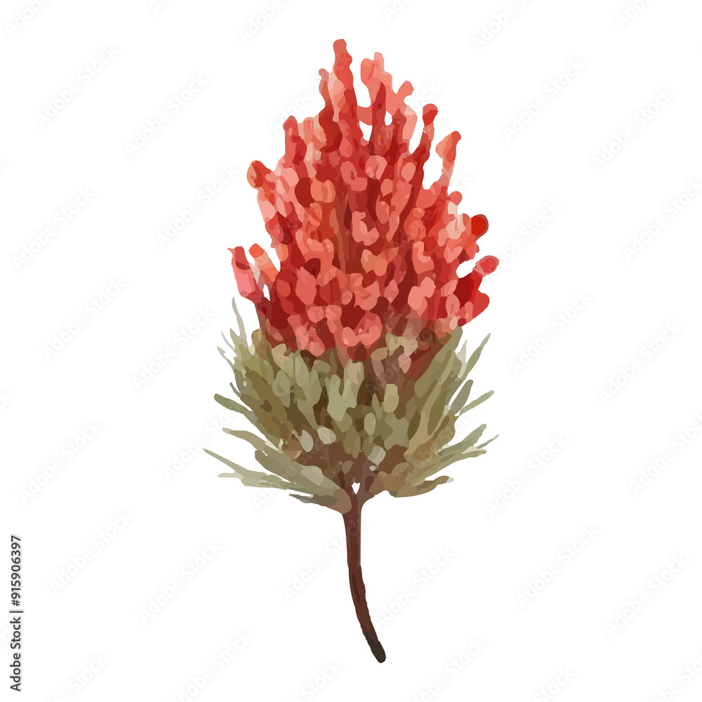 Close-up of a red and green flower with white background.