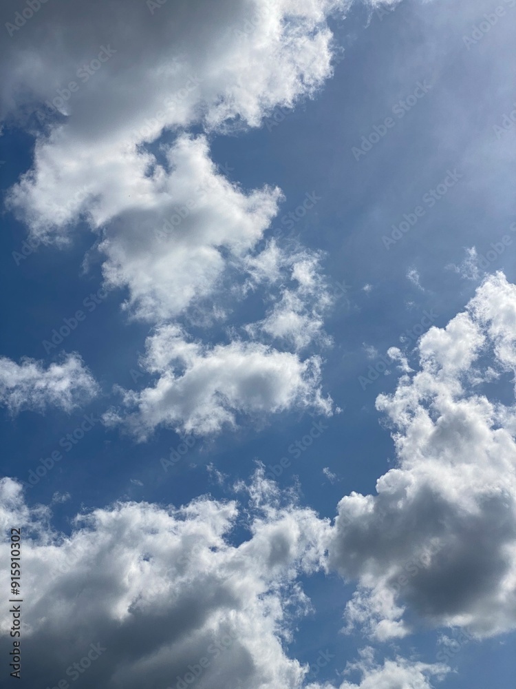 Fototapeta premium white clouds in a blue sky