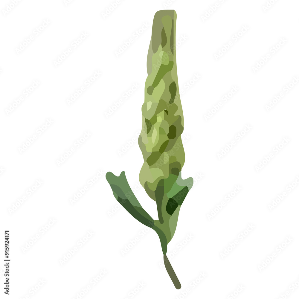 Green flower bud with leaves isolated on white background.