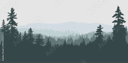 Panoramic coniferous woodland silhouette background