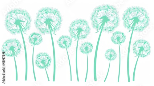 dandelions