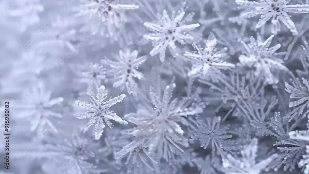 An extreme closeup reveals the fine feathery texture of the snowball with each individual snowflake visible and fragile.