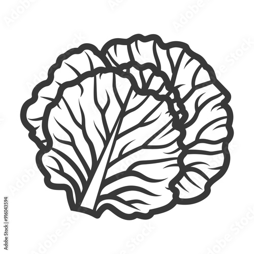 Black and White Illustration of a Cabbage Head