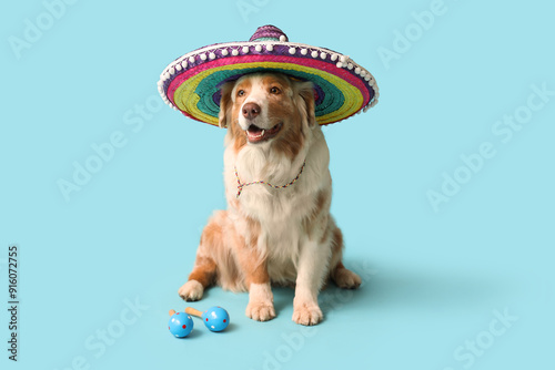 Funny dog in sombrero hat a...