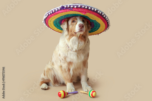 Funny dog in sombrero hat a...