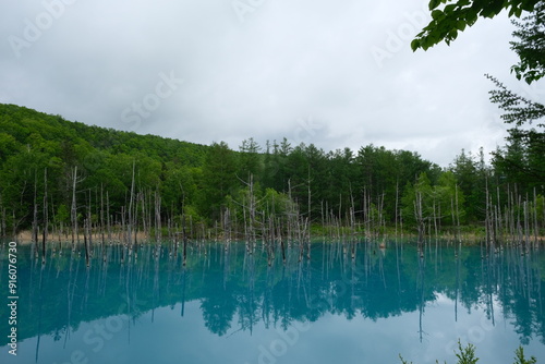 lake in the forest, shirogane pond photo