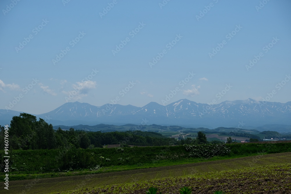 Summer fields in Hokkaido Japan Summer fields in Hokkaido Japan