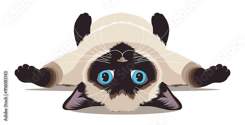 A Siamese cat with blue eyes lies on its back, showing a playful and relaxed pose in a vector illustration.