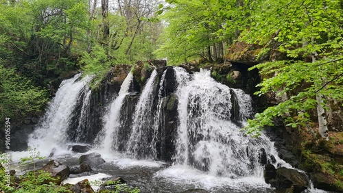 La cascade des Touzes au printemps (Aubrac)