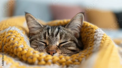 Fototapeta na wymiar A peaceful cat sleeps comfortably wrapped in a cozy yellow knit blanket, showcasing the warmth and relaxation of a cherished pet in a homely environment.