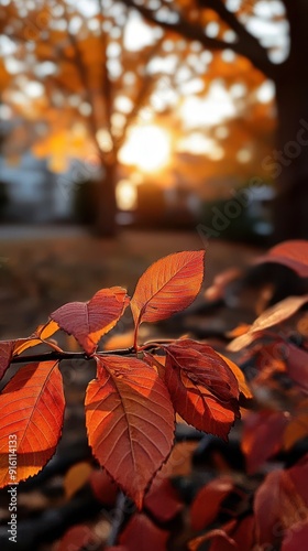 Autumn backyard, lush environment, vibrant colors, cozy setting photo