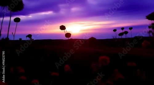 A stunning sunset scene behind a field of wildflowers. The sky is beautifully gradient with purple and orange hues, as the sun illuminates the scene. Perfect for projects related to nature or serene b