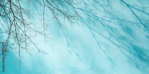 Minimalistic abstract gentle light blue background with delicate shadow from tree branches on wall , soft, blue