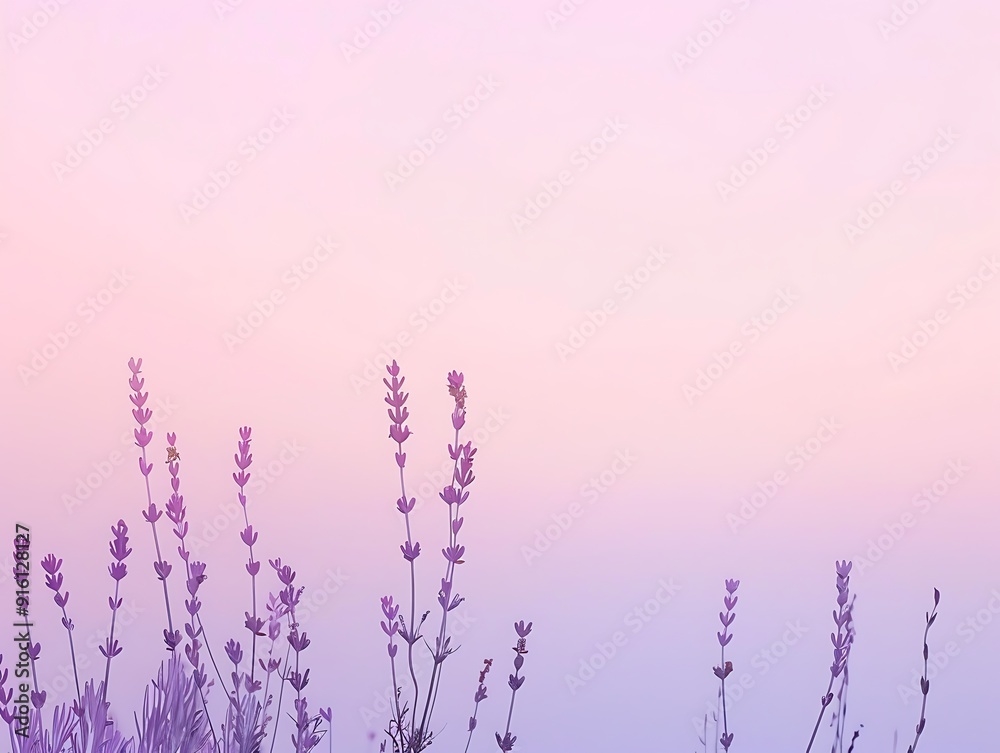 Subtle gradient from lavender to pastel pink, offering a soft and elegant backdrop. Subtle gradient from lavender to pastel pink, offering a soft and elegant backdrop.