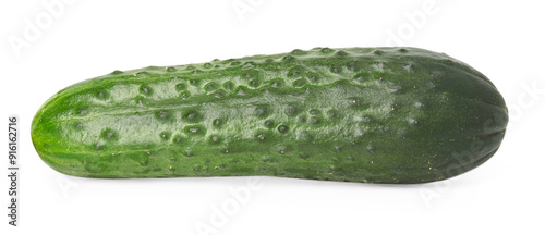 One fresh green cucumber isolated on white