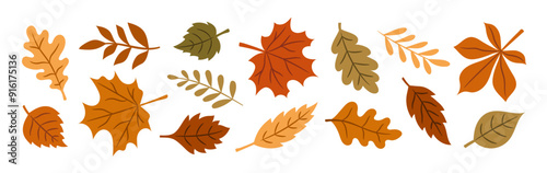 Vector set of autumn colorful leaves isolated on white background
