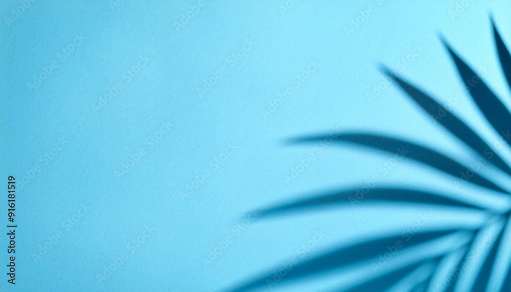Tropical Palm Leaf Shadow on Soft Blue Background - Minimalist Nature Concept Tropical Palm Leaf Shadow on Soft Blue Background - Minimalist Nature Concept