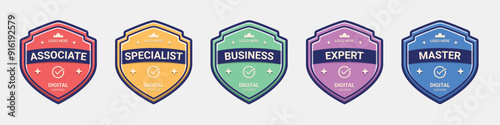 set of Certified logo badge shield design for company training badge certificates to determine based on criteria. collection certify with colorful security vector illustration in flat design