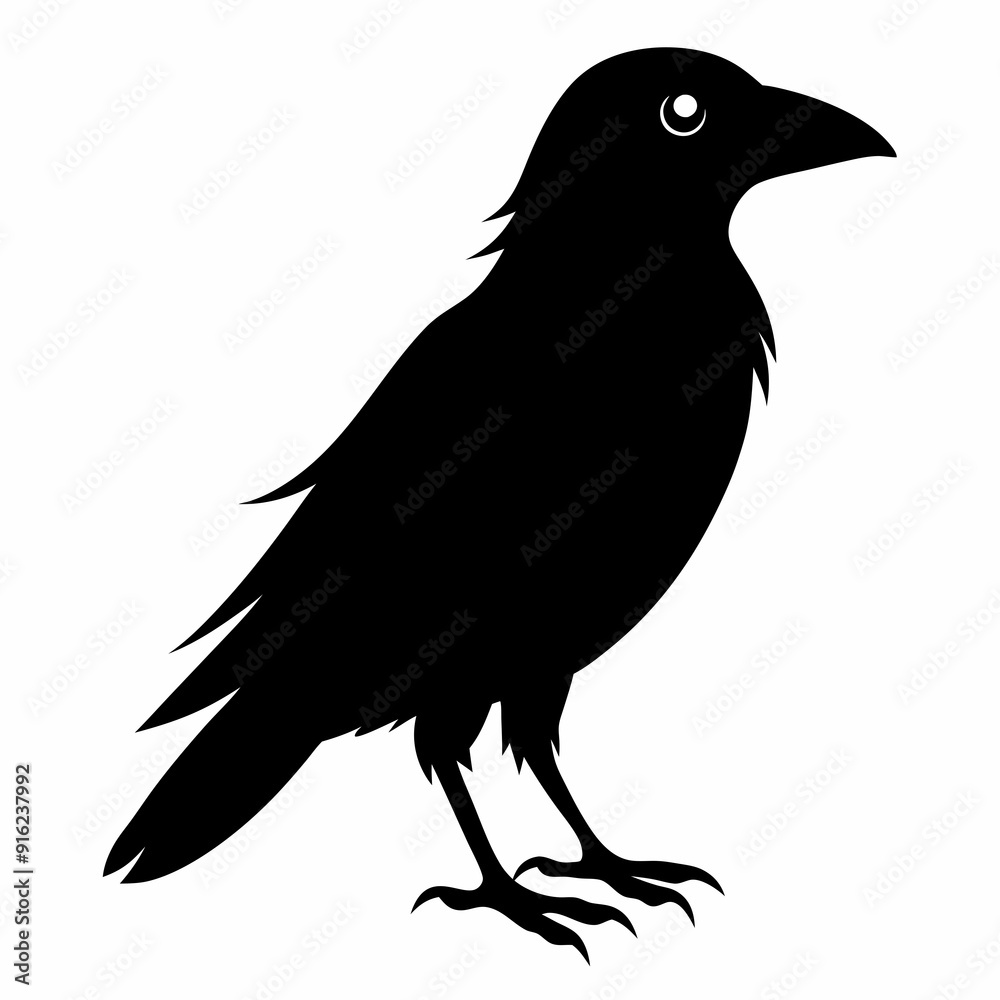 Crow isolated on white background, crow vector illustration, bird on a branch vector art, crow silhouette, bird vector icon, peacock on a branch line art, eps, raven on a branch cartoon Crow isolated on white background, crow vector illustration, bird on a branch vector art, crow silhouette, bird vector icon, peacock on a branch line art, eps, raven on a branch cartoon