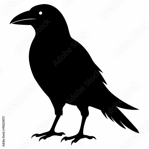 Crow isolated on white background, crow vector illustration, bird on a branch vector art, crow silhouette, bird vector icon, peacock on a branch line art, eps, raven on a branch cartoon