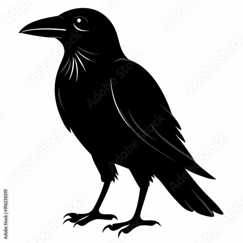 Crow isolated on white background, crow vector illustration, bird on a branch vector art, crow silhouette, bird vector icon, peacock on a branch line art, eps, raven on a branch cartoon