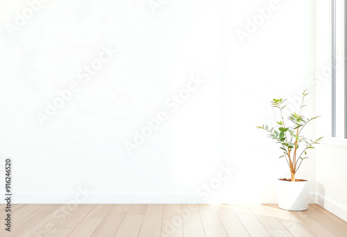 empty white wall interior with small plant with copy space for text