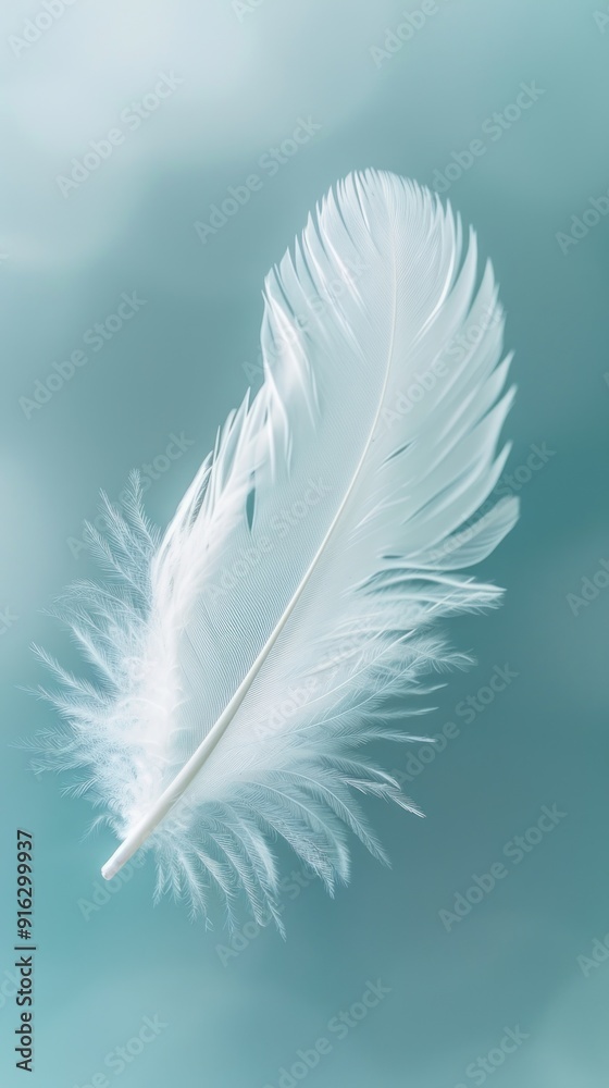 Single White Feather Against Blue Background. Single White Feather Against Blue Background.